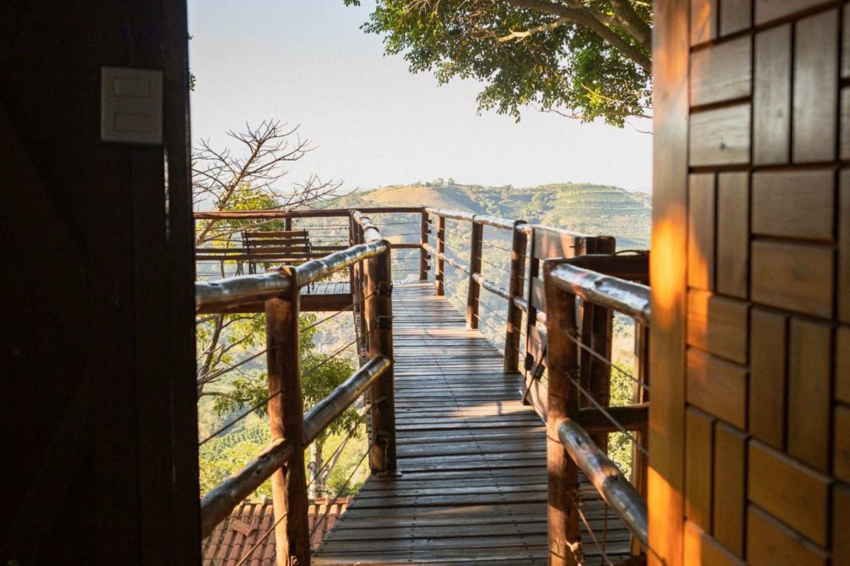 Casa da Árvore | Vista do quarto