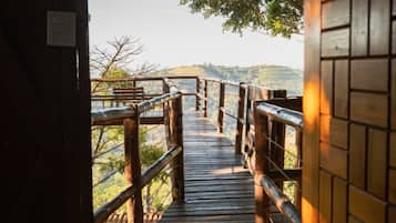 Casa da Árvore | Vista do quarto