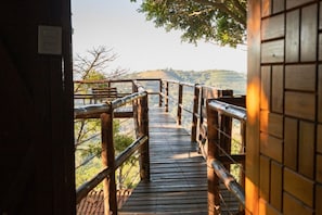 Casa da Árvore | View from room - Pousada do Xerife (Caconde)