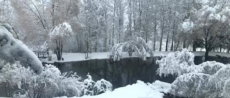 Estudio (6 Bedrooms) | Miscelánea