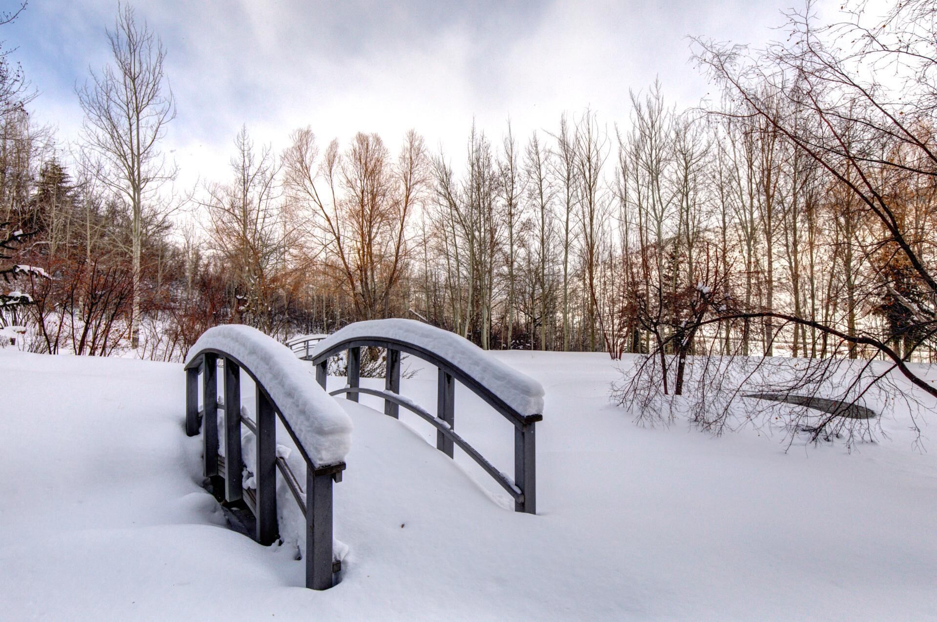 A snow-covered bridge in a forest.