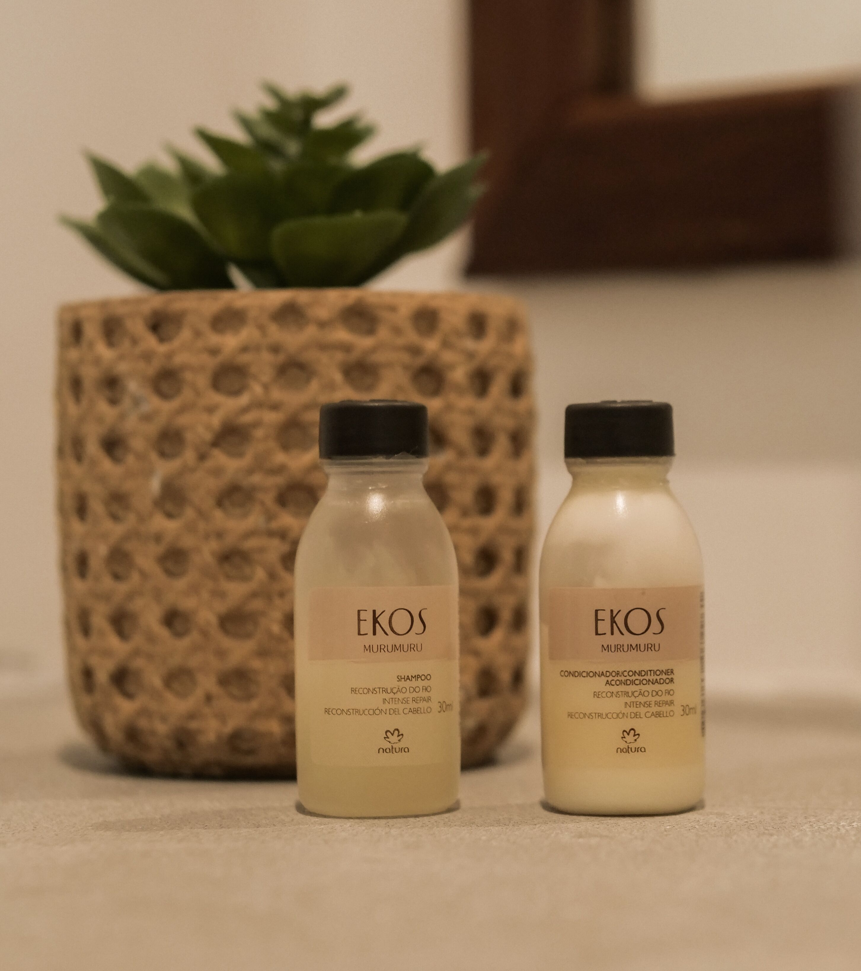 Zwei Flaschen EKOS Murumuru Shampoo und Conditioner, und ein strukturiertes Gefäß mit einer grünen Pflanze.