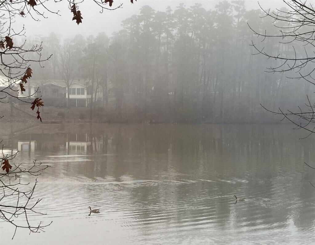 Ein nebliger See mit einem Haus im Hintergrund.