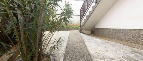 A paved pathway with a central strip, bordered by plants and a building with a white facade and a stone base.