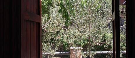 A view through a wooden door into a courtyard with a tree and a stone pillar.