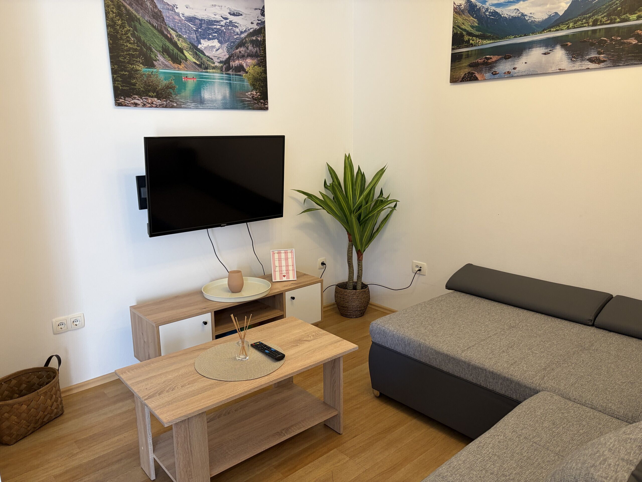 Un salon avec un téléviseur à écran plat, une table basse en bois, un canapé gris, une plante en pot et deux tableaux représentant des paysages accrochés au mur.