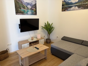 Un salon avec un téléviseur à écran plat, une table basse en bois, un canapé gris, une plante en pot et deux tableaux représentant des paysages accrochés au mur.