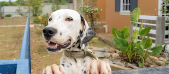 2 Bedroom gated Annex -pool, king & queen beds, free parking and wifi 