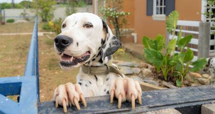 2 Bedroom gated Annex -pool, king & queen beds, free parking and wifi