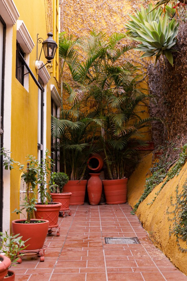 Terrace/patio - Casa Amarilla (Guanajuato)