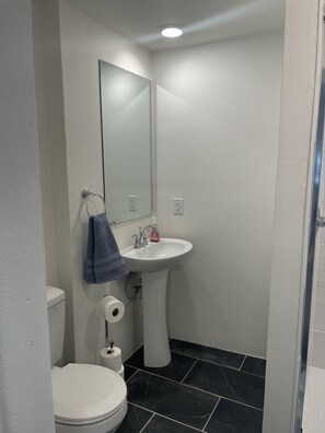 A small, clean bathroom with a white sink, a mirror, a toilet, and black tiled flooring. - NEW! Petite Palace on Park Ave (Hot Springs)