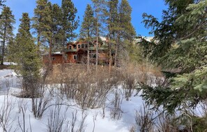 Escape to a cozy cabin surrounded by tall pine trees, with a fireplace and multiple windows offering a peaceful retreat.