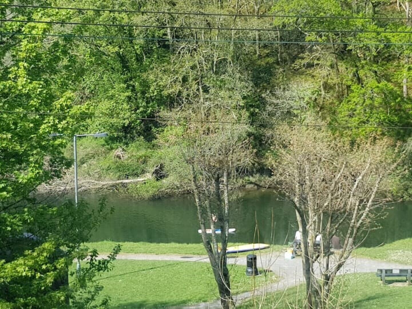 A park with a pond, trees, a bench, and a pathway.