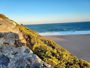 Un paysage côtier avec une falaise rocheuse, une plage et l’océan.