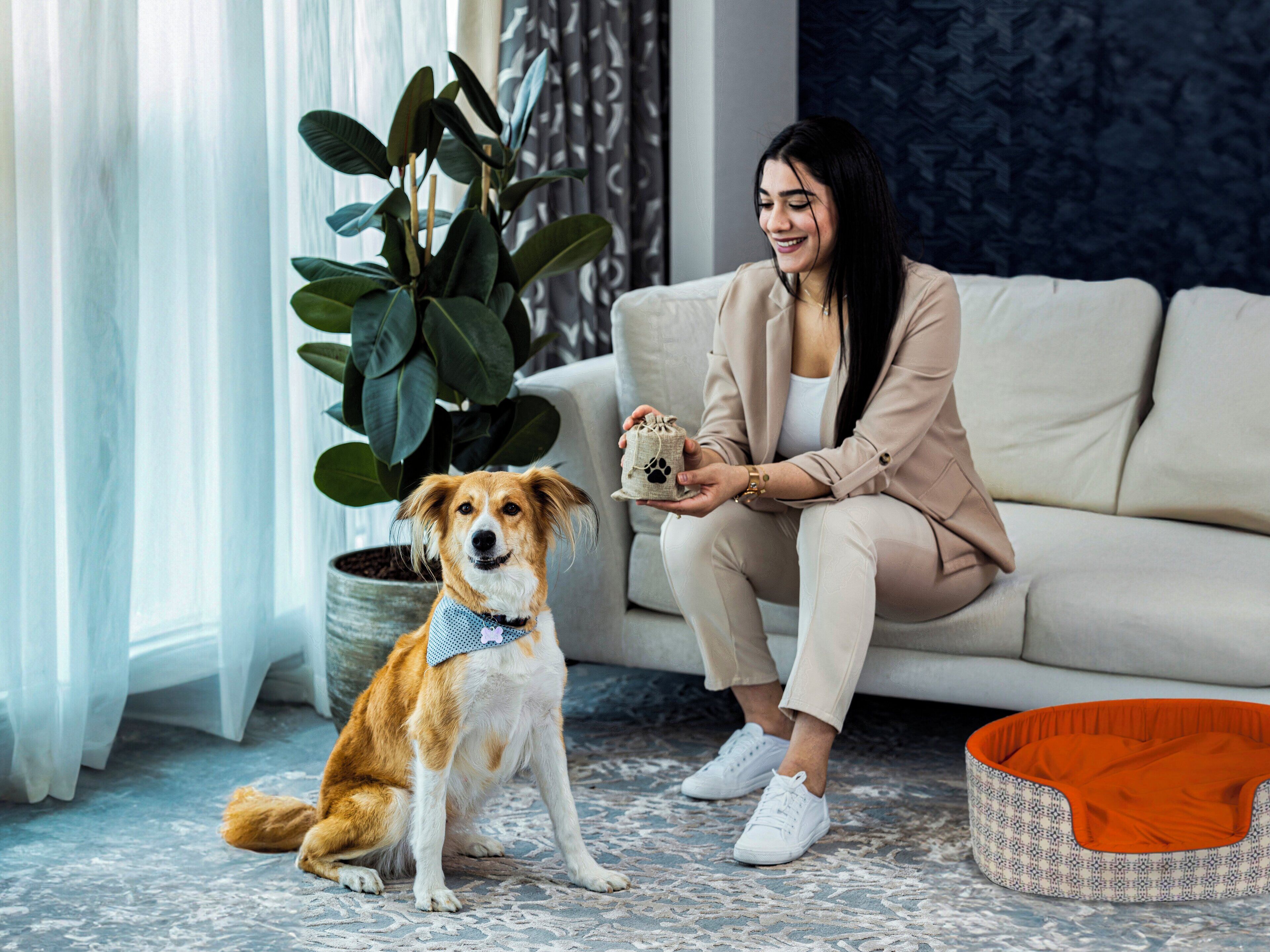 A person sitting on a sofa with a dog, holding a small gift, in a room with a potted plant and a pet bed.