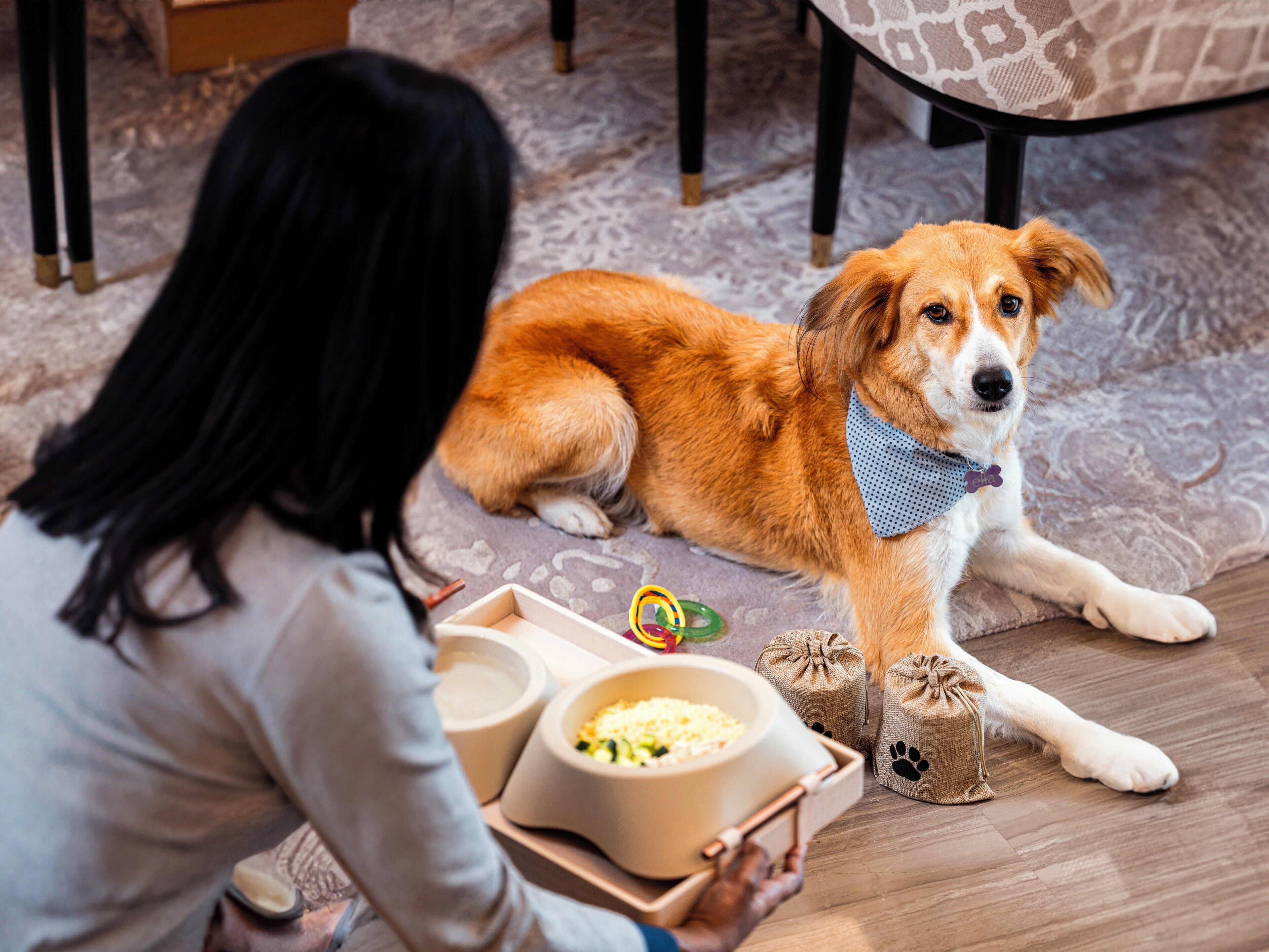 Photo - Abesq Doha Hotel and Residences, an IHG Hotel