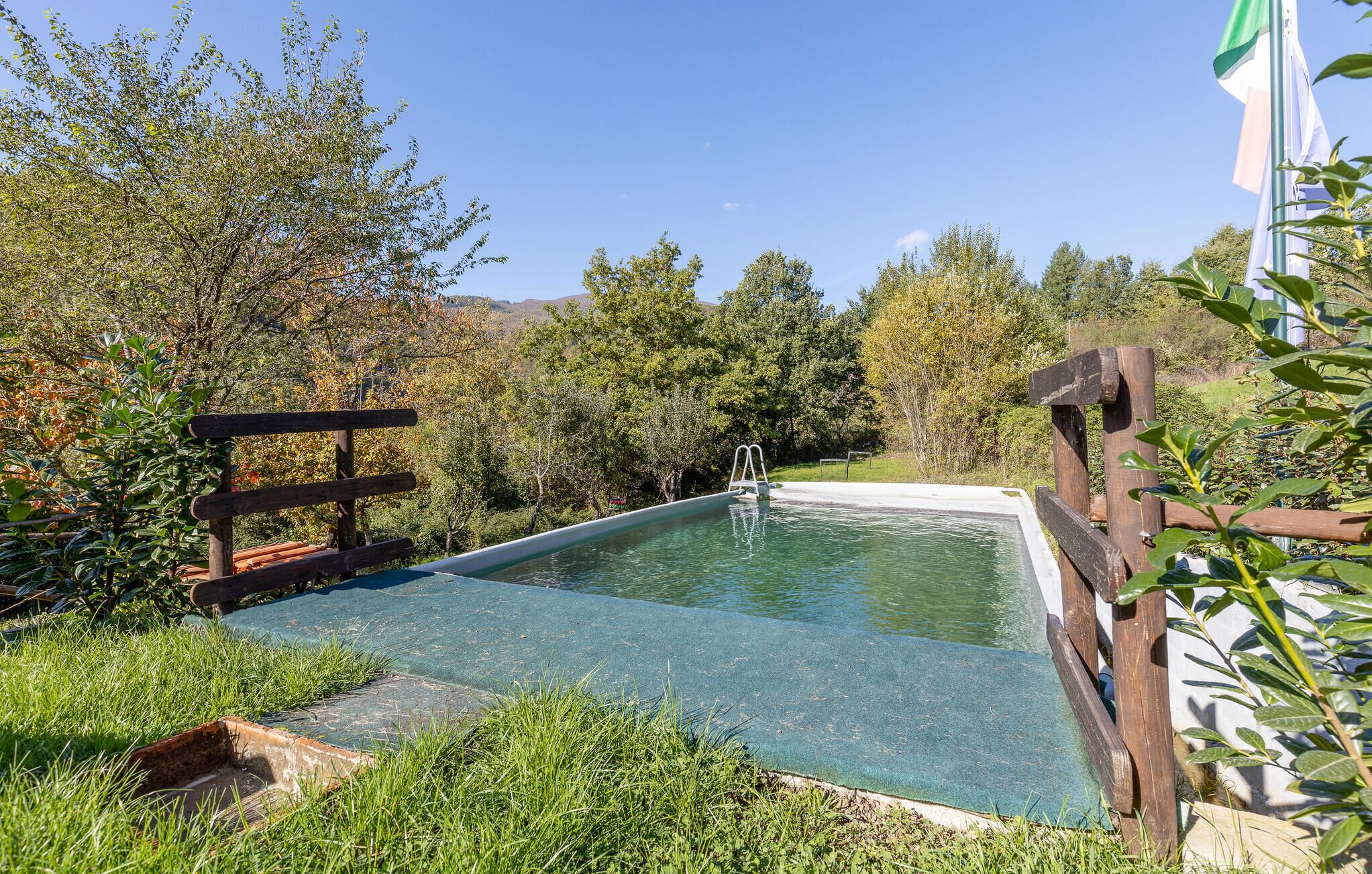 Ein rechteckiger Pool mit Holzterrasse und Leiter, umgeben von üppiger Vegetation und Bäumen.