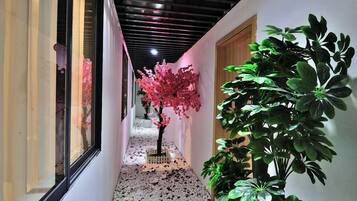 Área da propriedade