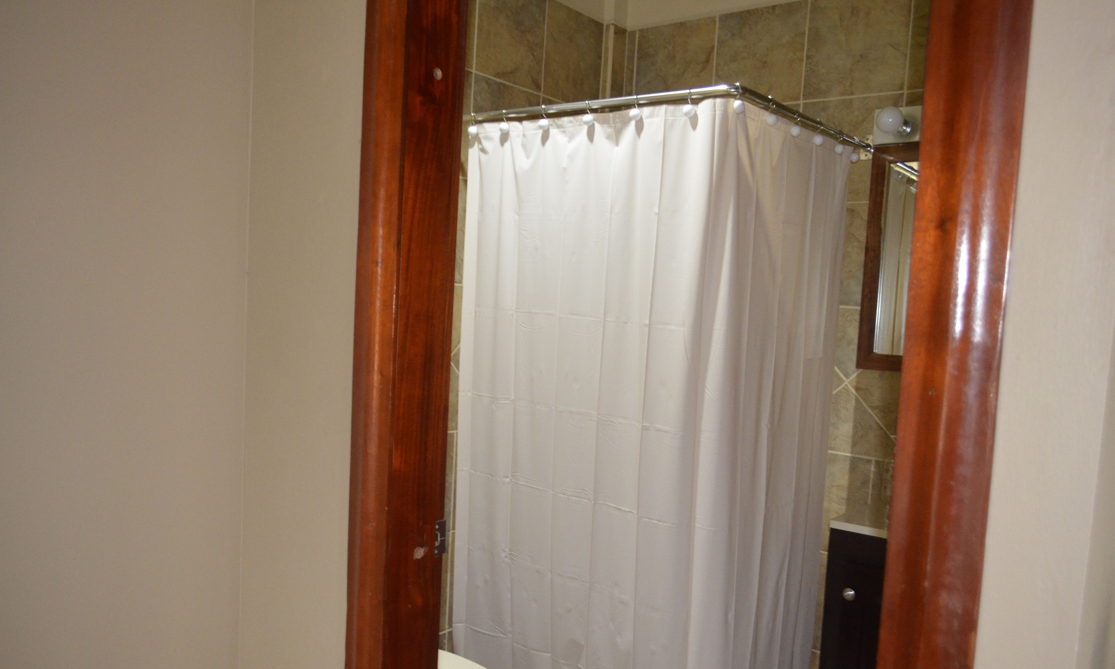 Une salle de bain avec un rideau de douche, des toilettes et un miroir.