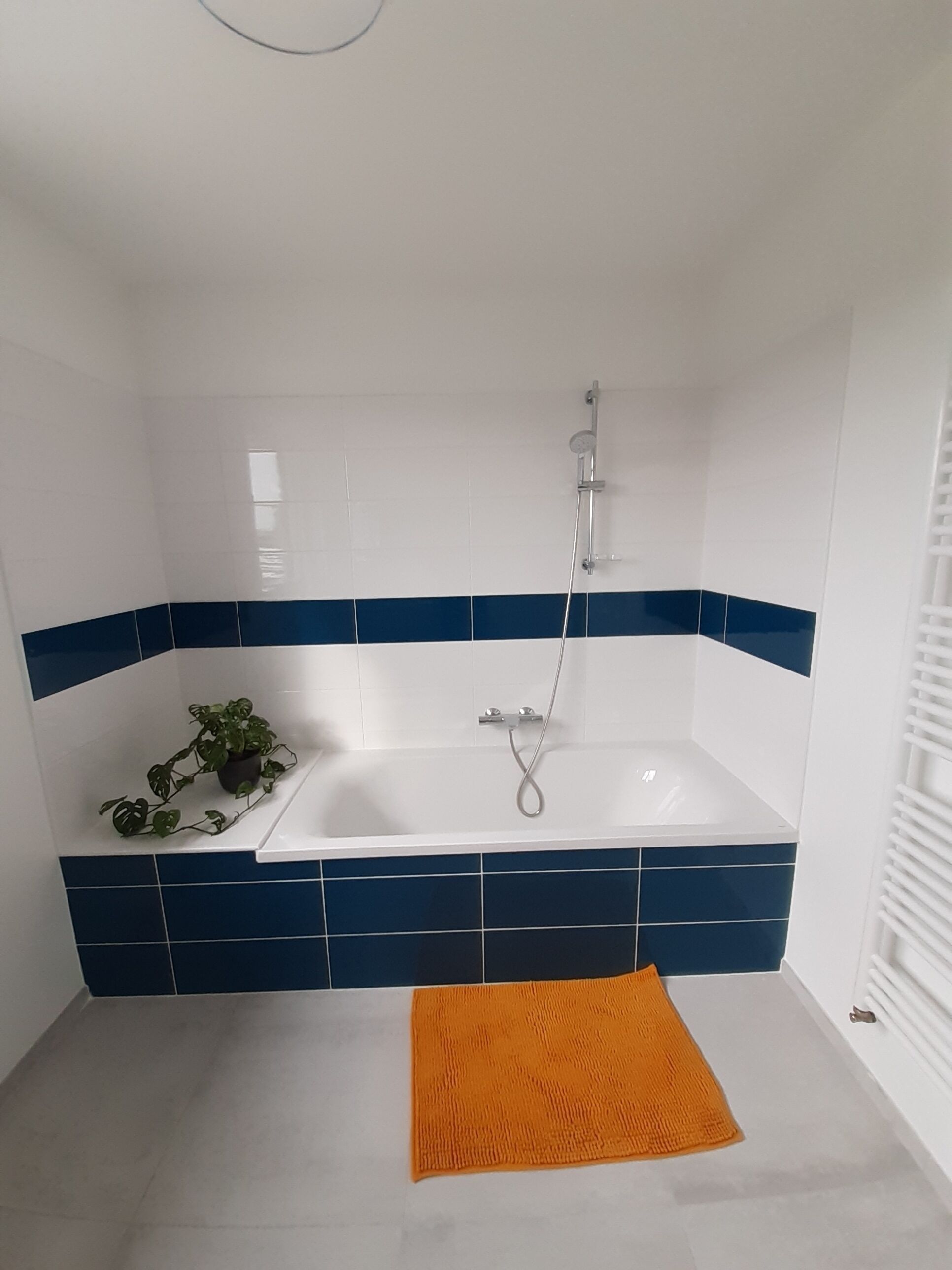 A bathroom with a white bathtub, blue-tiled lower half, a potted plant, and an orange rug.