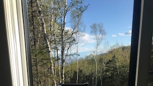 Puinen terassi, jossa on poreallas, ja lasiovet, jotka johtavat metsäiselle alueelle.