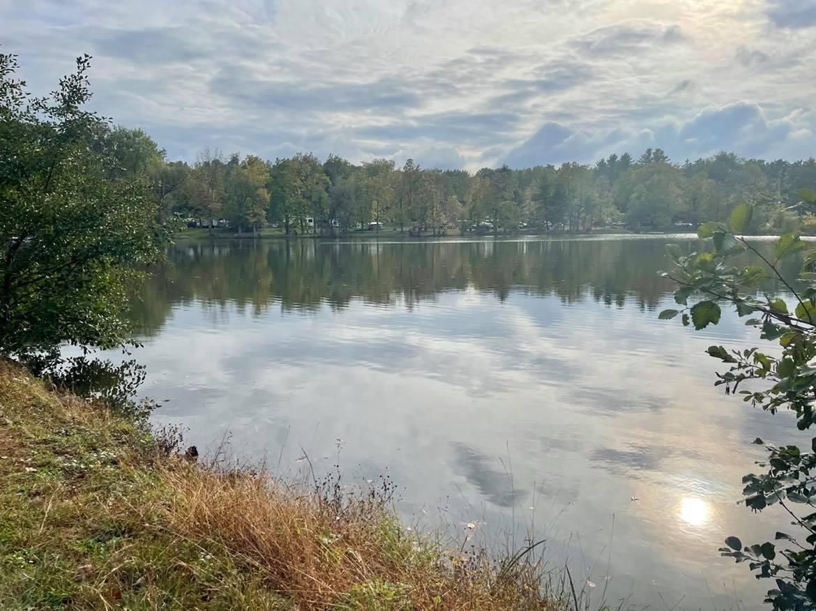 Un lac paisible, bordé d’arbres, sous un ciel dégagé.