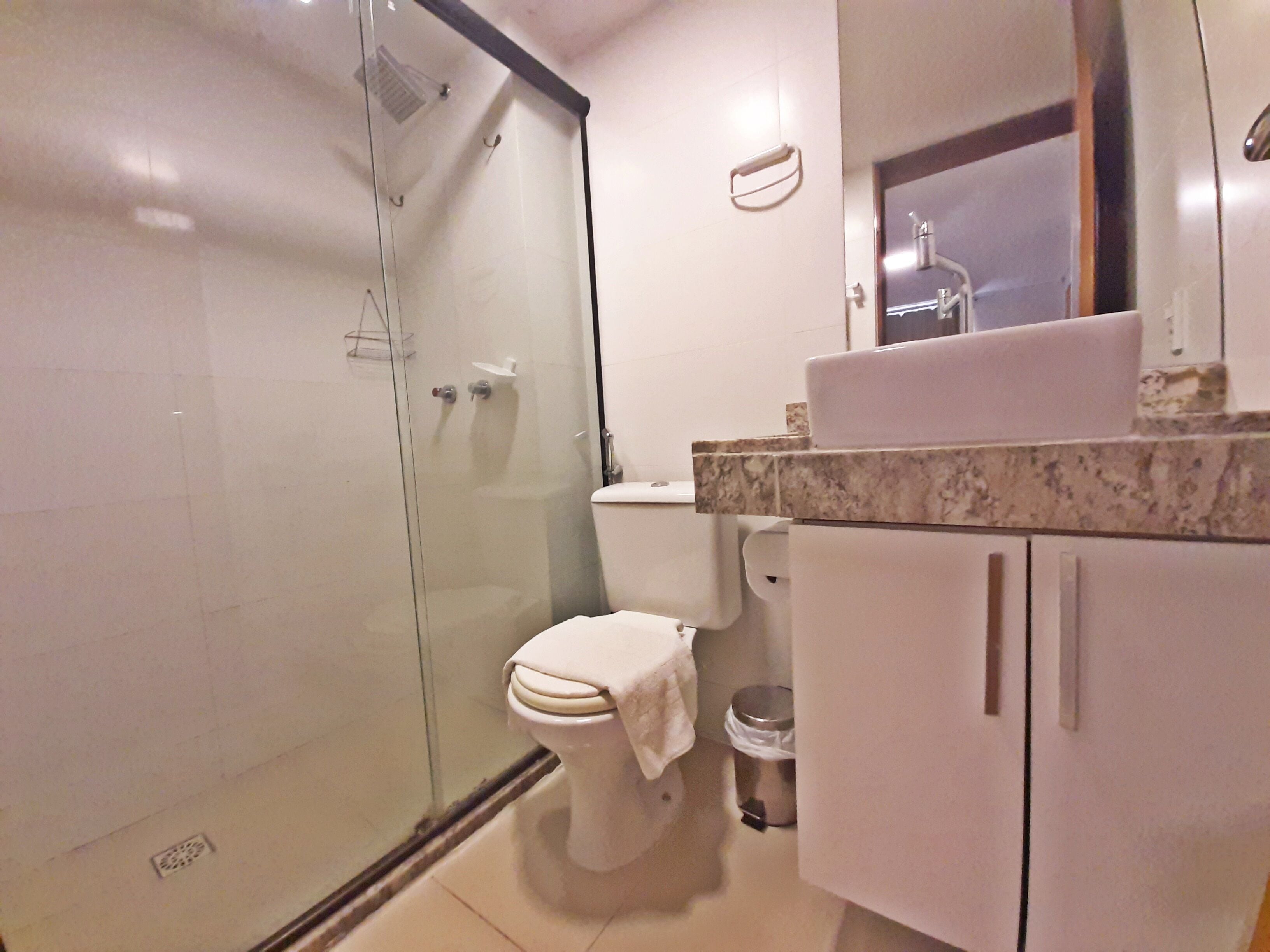 A bathroom with a glass shower enclosure, a toilet, a sink, and a mirror.