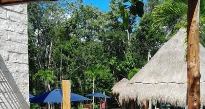 paradise in the jungle