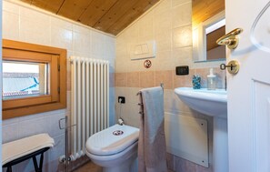 Combined shower/bathtub