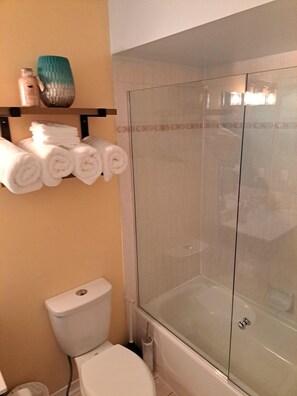 Hair dryer, towels, soap, shampoo