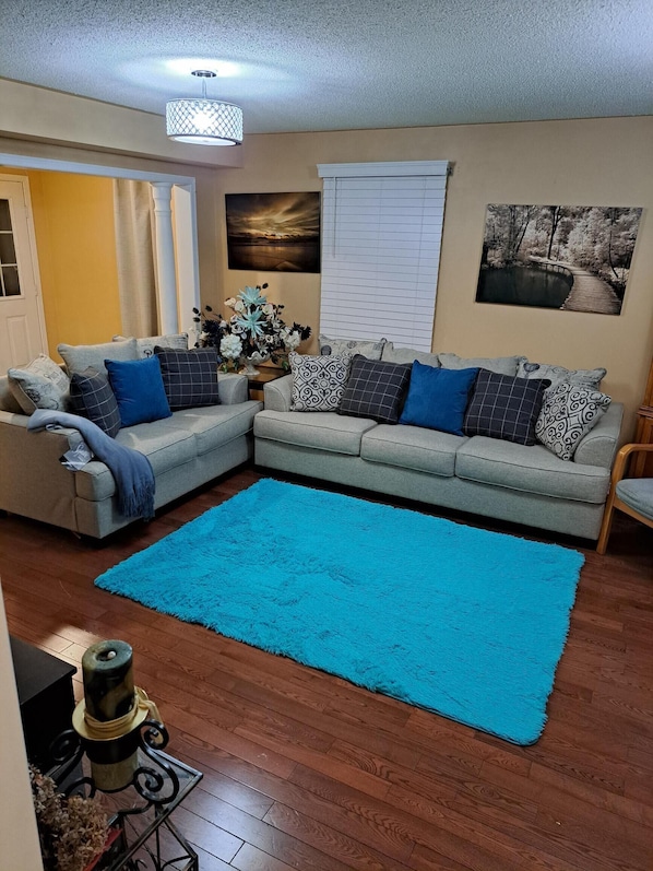 A living room with a blue rug, two sofas with patterned cushions, a decorative vase, and a painting on the wall.