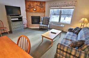 TV, fireplace, ping pong, books