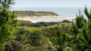 Una playa con gente, cielo despejado y vegetación al frente.