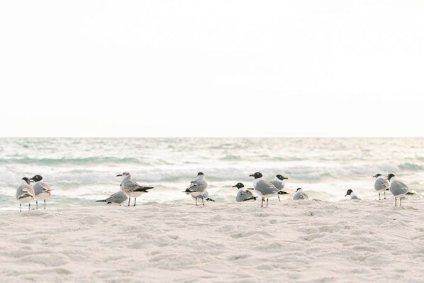 In Strandnähe