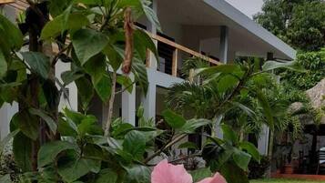 วิวสวน