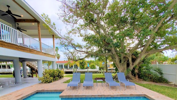 Una piscina con sillas de descanso, una terraza cubierta y un gran árbol.