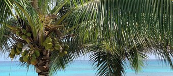 Beach'n Barefoot - nestled on the sands of Love Beach - max guests 2