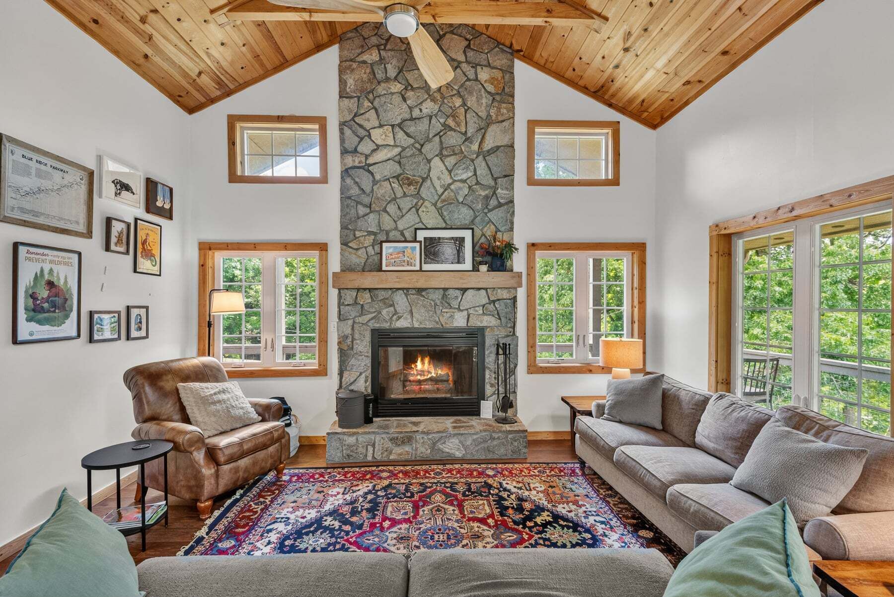 TV, fireplace, books