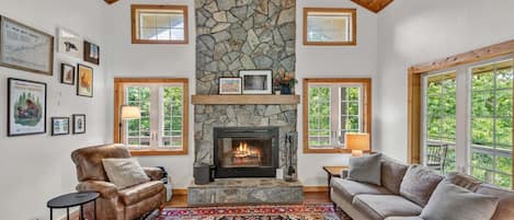 TV, fireplace, books