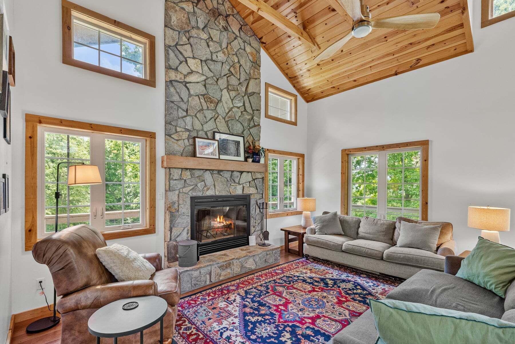 TV, fireplace, books