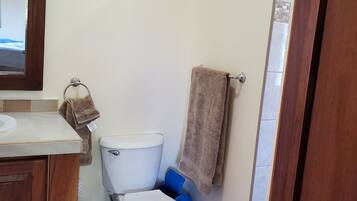 Shower, hair dryer, towels, soap