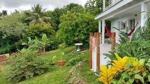 A white house with a covered porch, surrounded by lush greenery and a variety of plants.