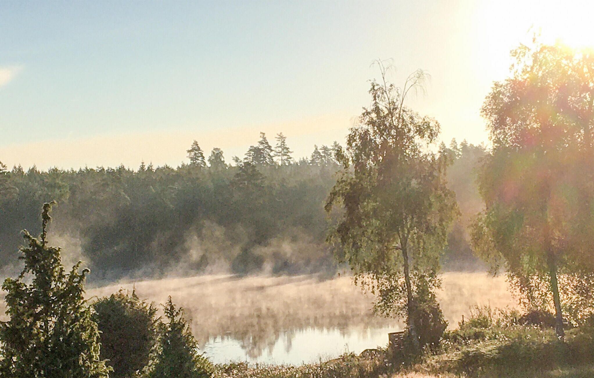 A misty lake surrounded by dense forest and trees.