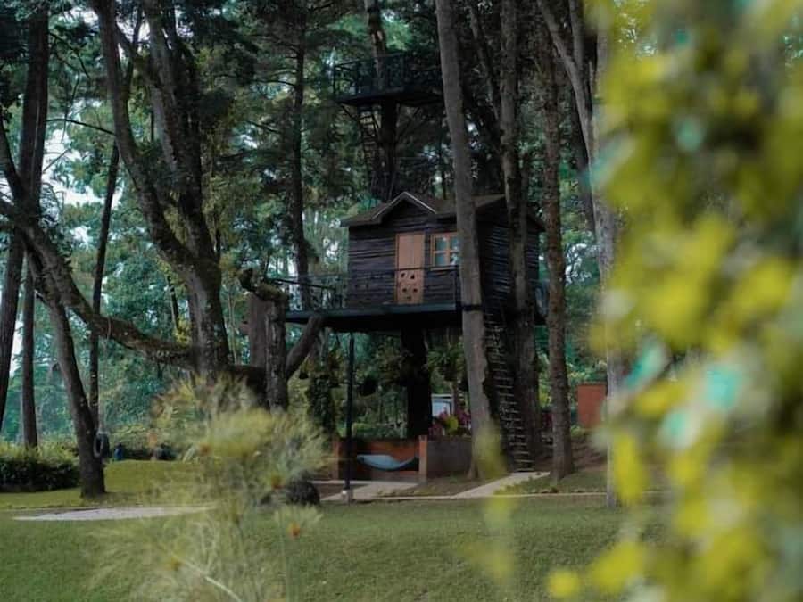 Couette en duvet d'oie, minibar, coffres-forts dans les chambres