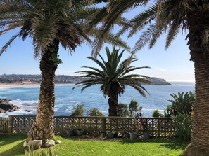 Panorama costiero con palme e una recinzione di legno.