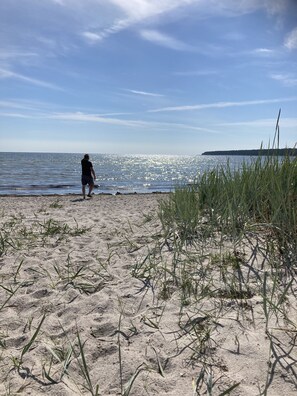 Nära stranden