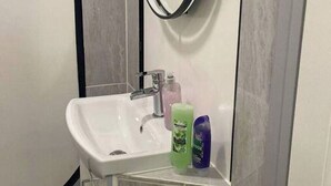 A bathroom with a white sink, a mirror, and two toiletry bottles on the counter.