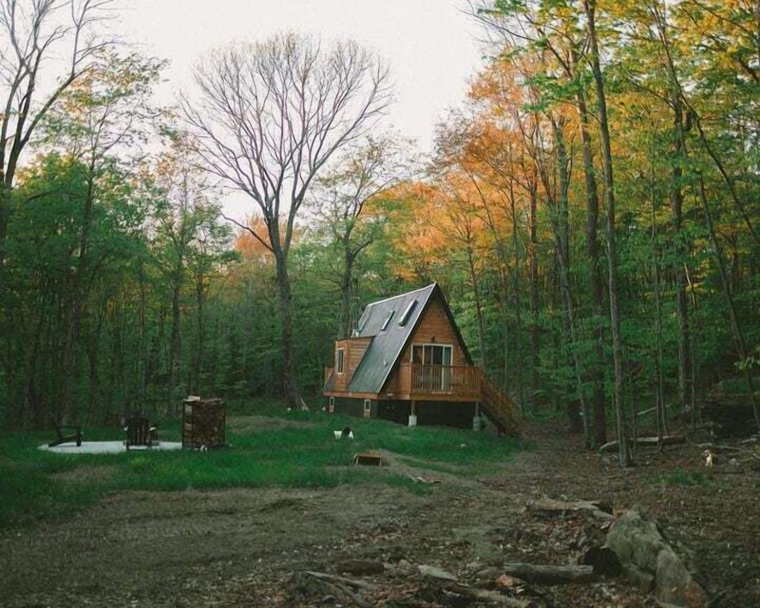 Une cabane au milieu d’une forêt, avec un toit en pente, entourée d’arbres et d’une zone herbeuse.