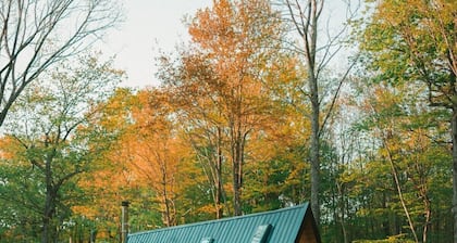 The A-Frame on Pudding Hill - Wood Burning Cedar Hot tub!
