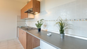 A modern kitchen with wooden cabinets, a stainless steel sink, and two potted plants on the countertop. - Porto Letizia Verdi 5, Porlezza, Italy (Porlezza)